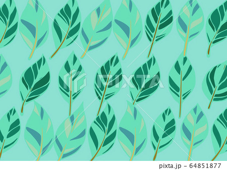 葉っぱ 手書き イラストのイラスト素材