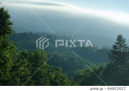 青森トドマツの森 青森トドマツの森 64852027