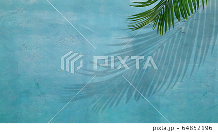 背景-壁-観葉植物 64852196