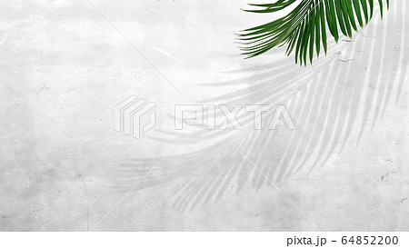 背景-壁-観葉植物 64852200