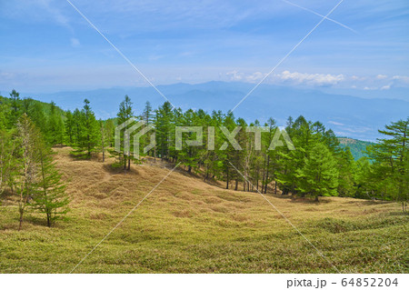 山梨の千頭星山の山頂付近から北東側の奥千丈岳、国師ヶ岳方面を見る 64852204