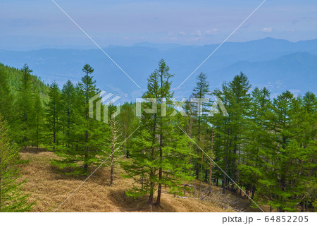山梨の千頭星山の山頂付近から北東側の御座山、北杜市方面を見る 山梨の千頭星山の山頂付近から北東側の御座山、北杜市方面を見る 64852205