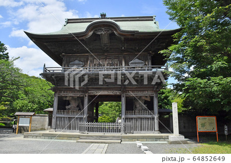 横浜市金沢区金沢　称名寺の門　夏 64852649