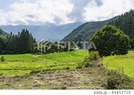 信州 白馬村 夏の青鬼集落 信州 白馬村 夏の青鬼集落 64852710