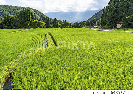 信州 白馬村 夏の青鬼集落 信州 白馬村 夏の青鬼集落 64852715