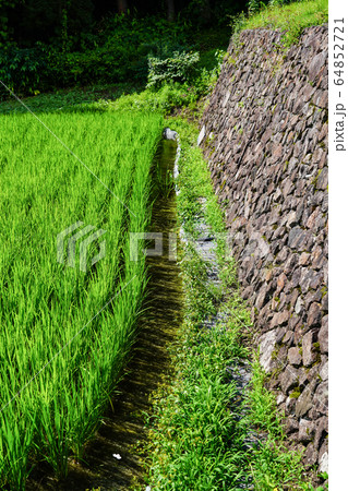 信州　白馬村　夏の青鬼集落 64852721