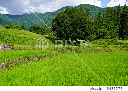 信州 白馬村 夏の青鬼集落の写真素材