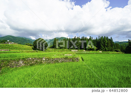 信州 白馬村 夏の青鬼集落 信州 白馬村 夏の青鬼集落 64852800