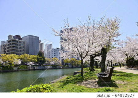 広島平和記念公園と満開の桜の写真素材