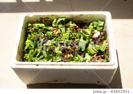 コンポスト(家庭の生ごみを肥料、堆肥にする) コンポスト(家庭の生ごみを肥料、堆肥にする) 64852931