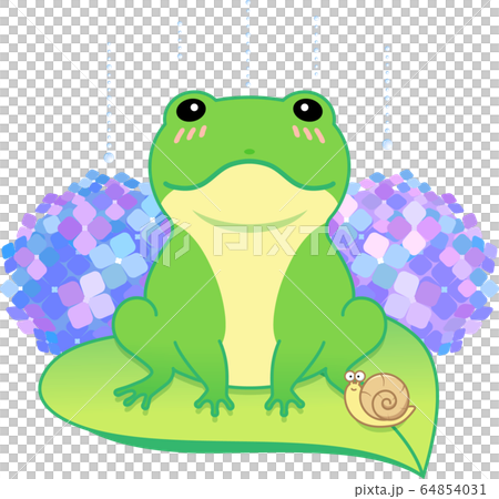 キュートなカエルと紫陽花 64854031