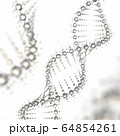 DNA クリスタル 64854261