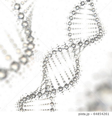 DNA クリスタル 64854261