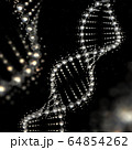 DNA クリスタル 64854262