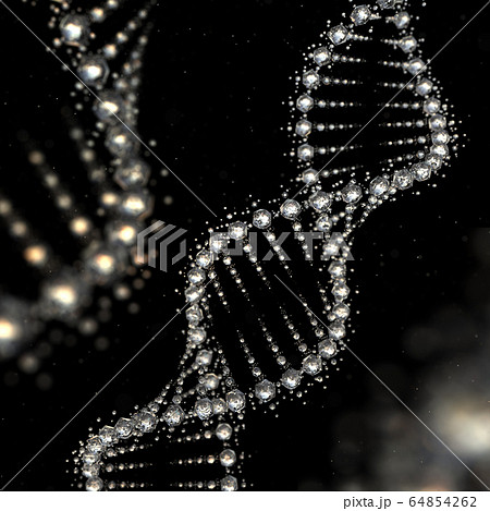 DNA クリスタル 64854262