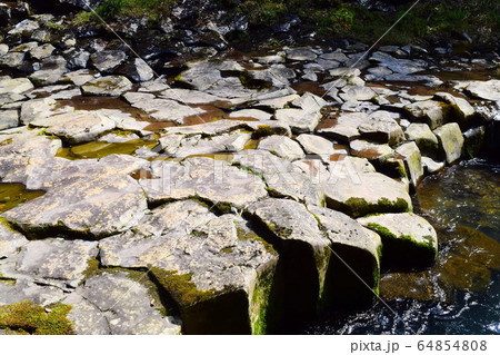【萩ジオパーク】畳ヶ淵 【萩ジオパーク】畳ヶ淵 64854808