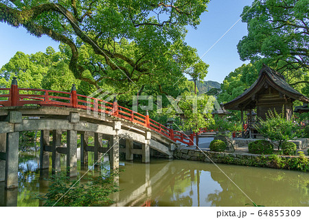 太宰府天満宮 64855309