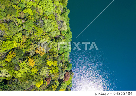 木々と池を真上から 空撮の写真素材