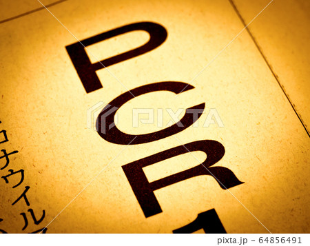 「PCR」の見出し 64856491