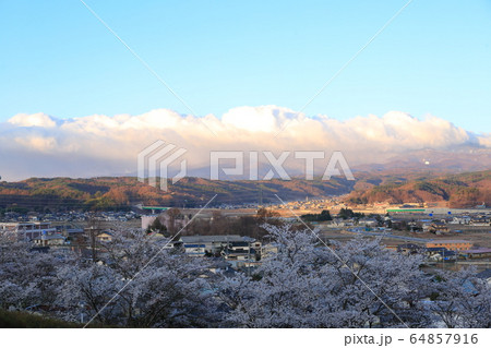 稲荷山公園　　 64857916