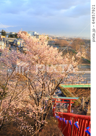 稲荷山公園 稲荷山公園 64857921