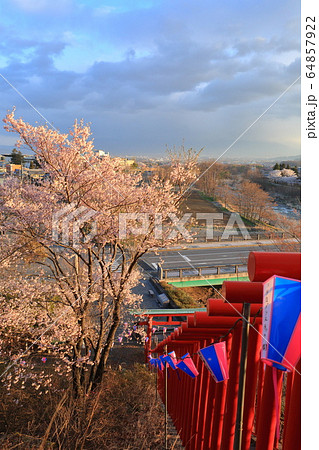 稲荷山公園　 64857922