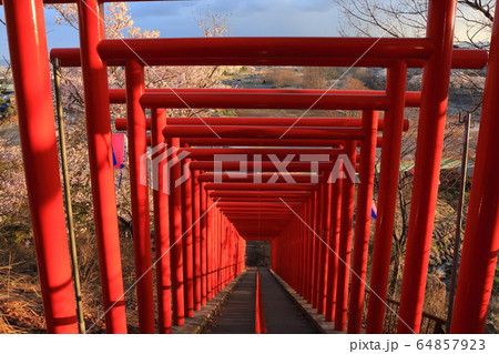 稲荷山公園　 64857923