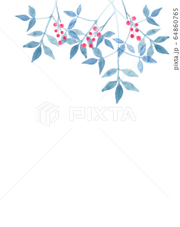 ナンテンのフレーム 64860765