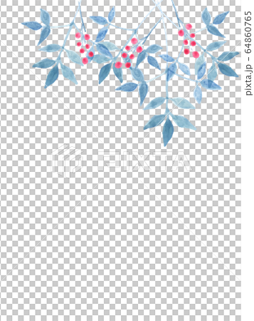 ナンテンのフレーム 64860765