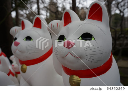 豪徳寺の招き猫 64860869