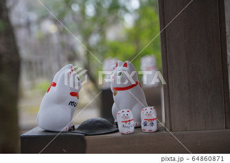 豪徳寺の招き猫 64860871