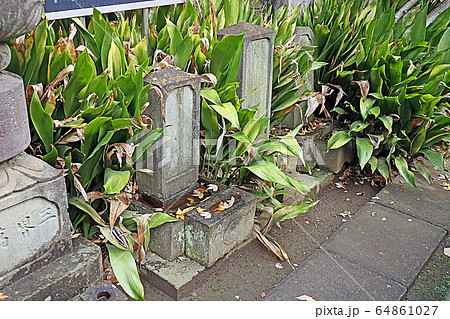 成覚寺 64861027