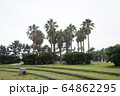 済州島 旅行 国内旅行 64862295