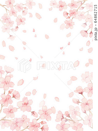 桜満開 花びら舞うのイラスト素材