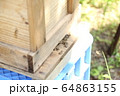 日本蜜蜂養蜂飼育 64863155