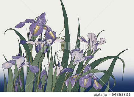 葛飾北斎／あやめにきりぎりす 64863331