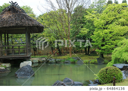 姫路城西御屋敷跡庭園「好古園」	 64864136