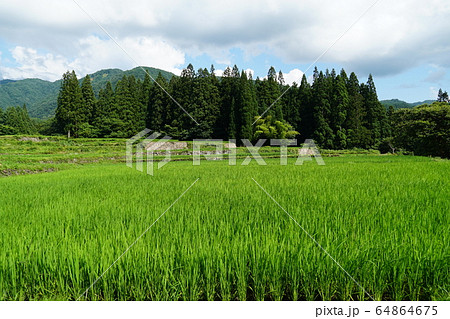 信州　白馬村　夏の青鬼集落 64864675