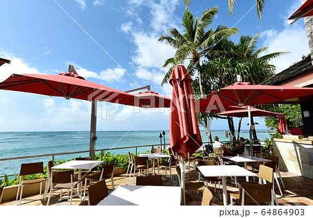 ハワイの休日 64864903