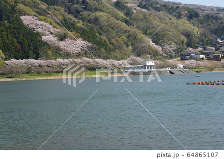 つくし湖に寄りました　　＃7 64865107