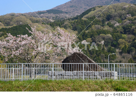 つくし湖に寄りました　　＃2 64865116