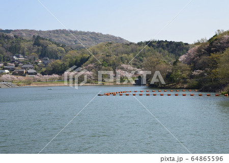 つくし湖に寄りました　　＃19 64865596