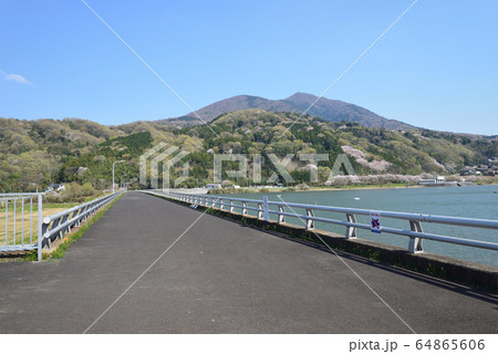 つくし湖に寄りました　　＃11 64865606