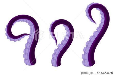 Octopus Tentacles or Limbs Wiggling and Snaking Vector Set 64865876
