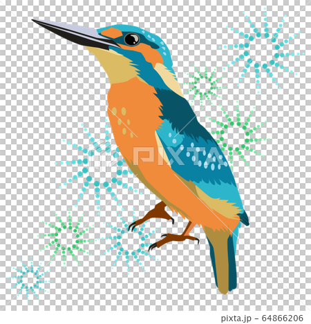 背景のあるカワセミのイラストのイラスト素材