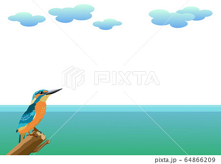 カワセミと海の背景素材 64866209