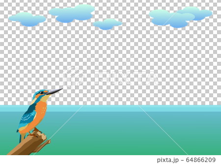 カワセミと海の背景素材 64866209