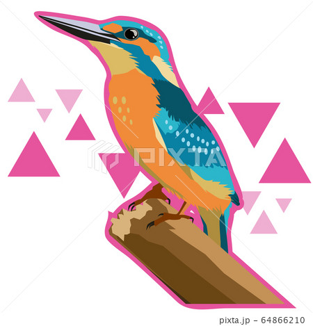 背景のあるカワセミのイラスト 64866210