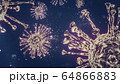 COVID-19 3D rendering of virus., Coronavirus disease infection medical illustration.New official name for Coronavirus disease named COVID-19, pandemic risk background, 64866883