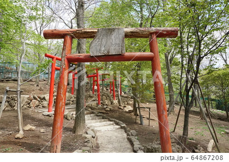 御金稲荷神社鳥居 御金稲荷神社鳥居 64867208